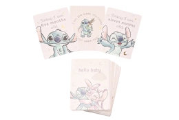 Stitch mijlpaalkaarten