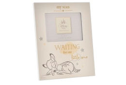 Disney Bambi Baby Scan Fotolijst 4x3