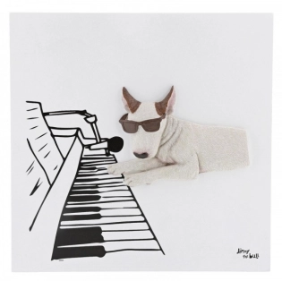 Jimmy the Bull - 'Pianist' Bild