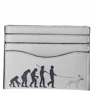 'Evolution of Man' Kartenetui