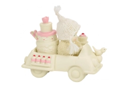 Snowbaby Emergency Delivery Service