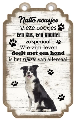 Spruchtafel Border Collie