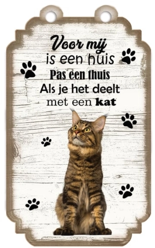 Spruchtafel braun getigerte Katze