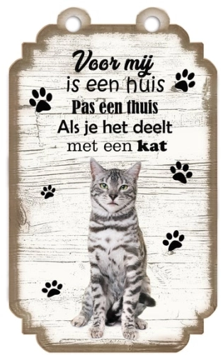 Spruchtafel grau getigerte Katze