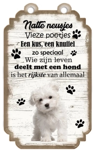 Tableau des proverbes maltais