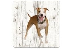 Houten onderzetters Amerikaanse Stafford