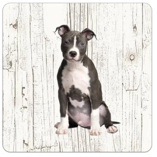 Holz-Untersetzer American Staffordshire Terrier