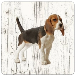 Holz-Untersetzer Beagle