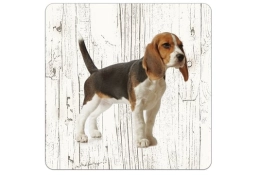 Dessous de verre en bois Beagle