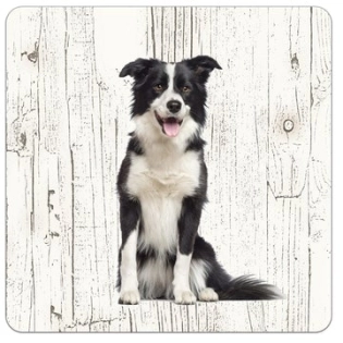 Holz-Untersetzer Border Collie