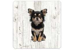  Dessous de verre Chihuahua