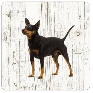 Holz-Untersetzer Zwergpinscher
