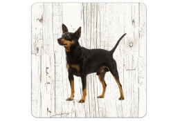 Dessous de verre Pinscher miniature 