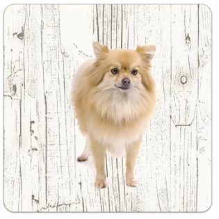Holz-Untersetzer Keeshond