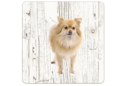 montagnes russes Keeshond 