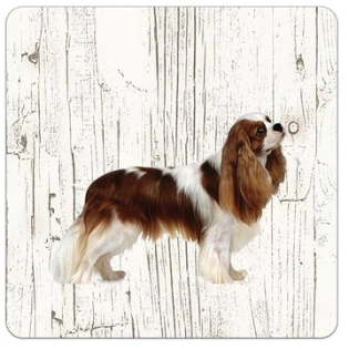 Holz-Untersetzer Cavalier King Charles Spaniel