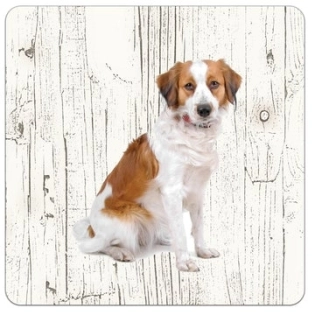 Holz-Untersetzer Kooikerhondje