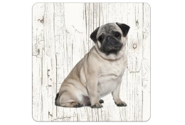 Dessous de verre carlin