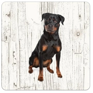 Holz-Untersetzer Rottweiler
