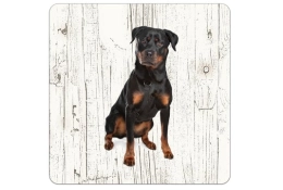 Onderzetter Rottweiler 