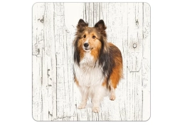 sous-verre Scottish Collie 