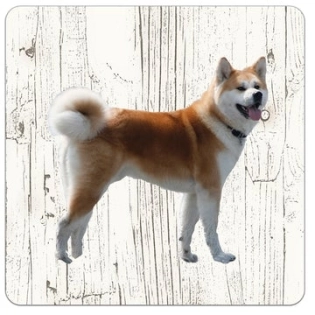 Holz-Untersetzer Shiba Inu