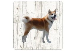 Dessous de verre en bois Shiba Inu