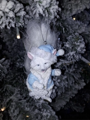 raton laveur ornemental qui marche