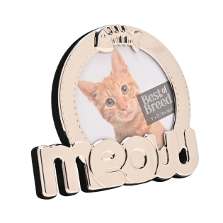 Fotokader kat