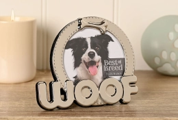 chien en cadre photo