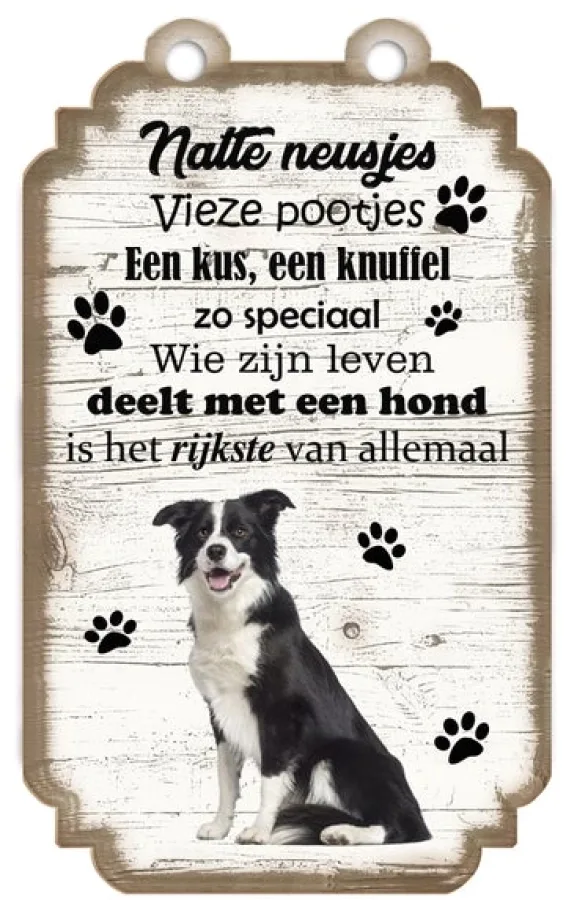 Spruchschild Border Collie
