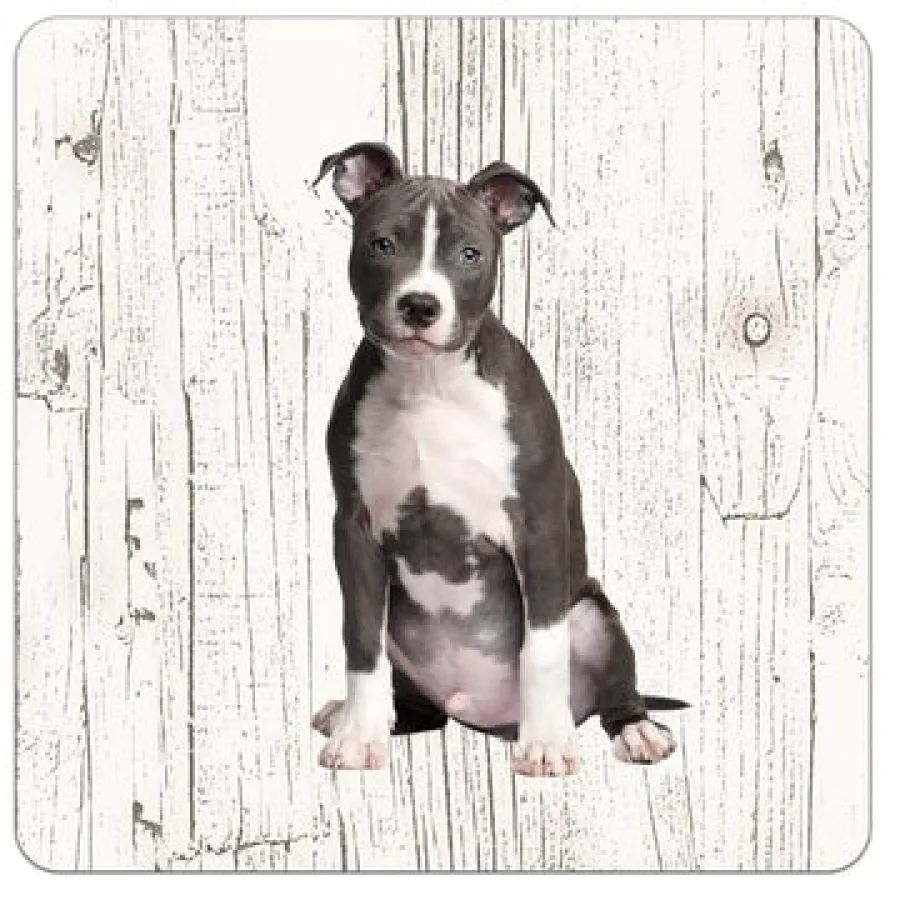 Holzuntersetzer American Staffordshire