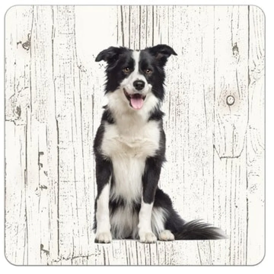 Holzuntersetzer Border Collie
