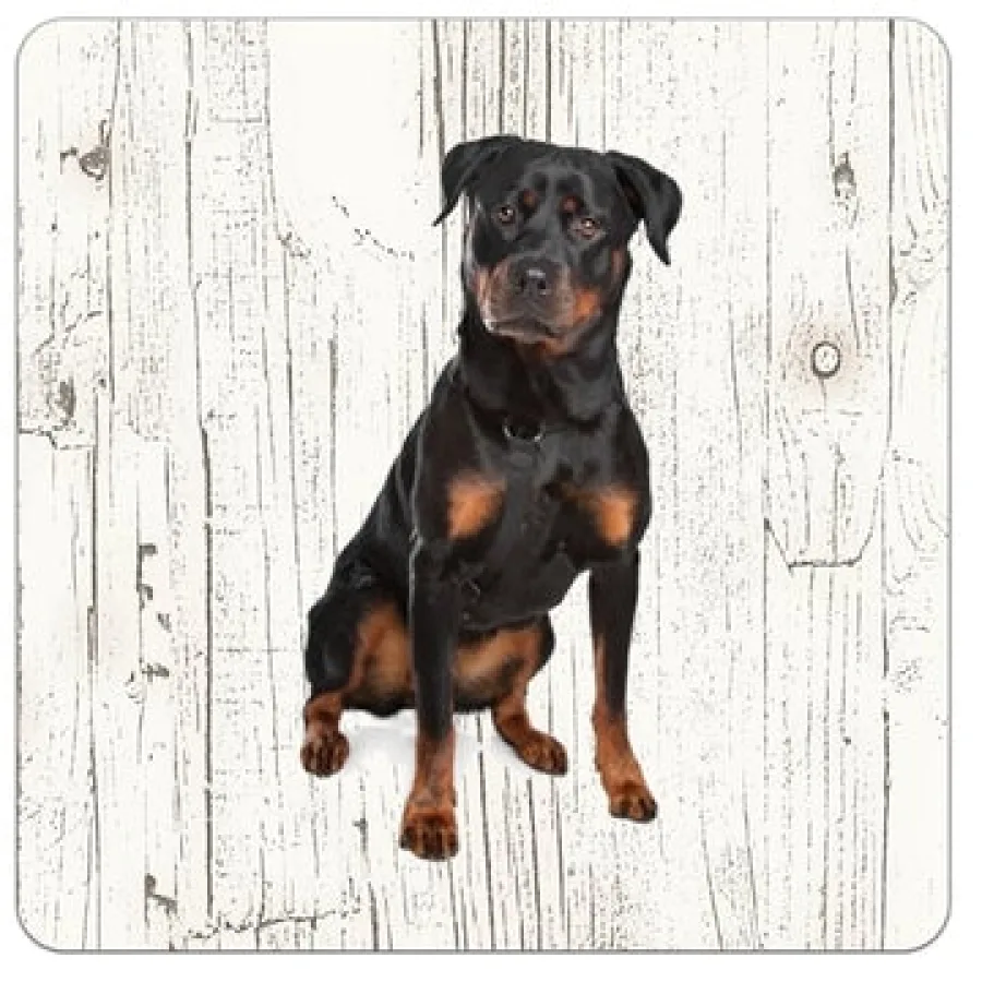 Holzuntersetzer Rottweiler
