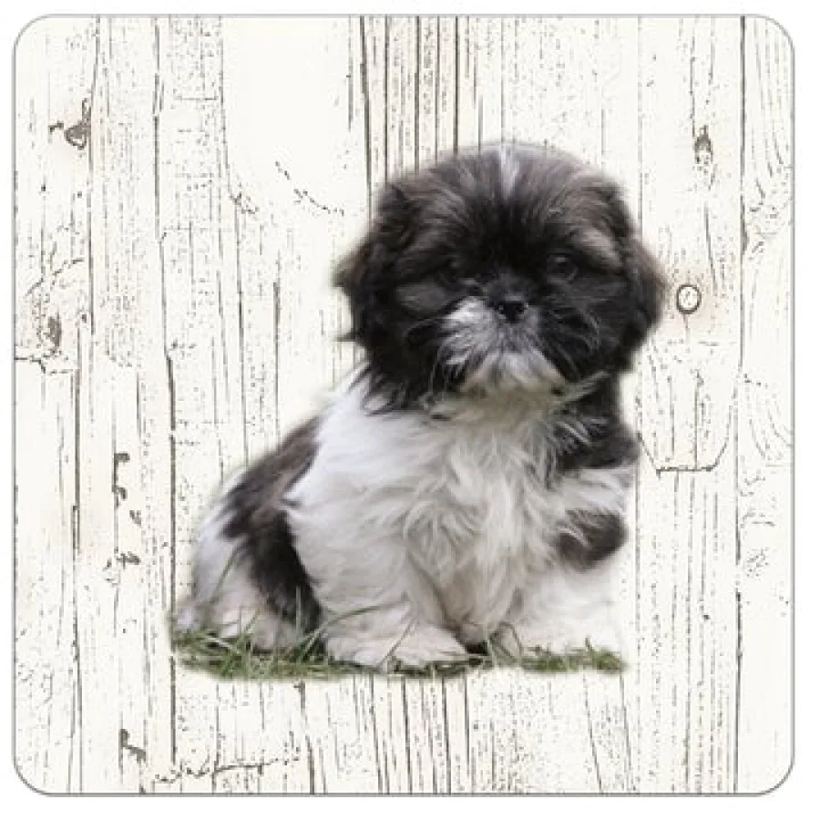 Holzuntersetzer Shih Tzu