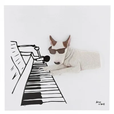 Jimmy the Bull - 'Pianist' Bild