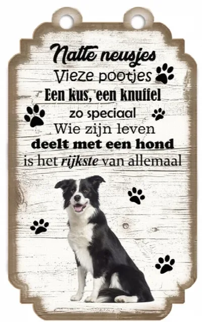 Spruchschild Border Collie