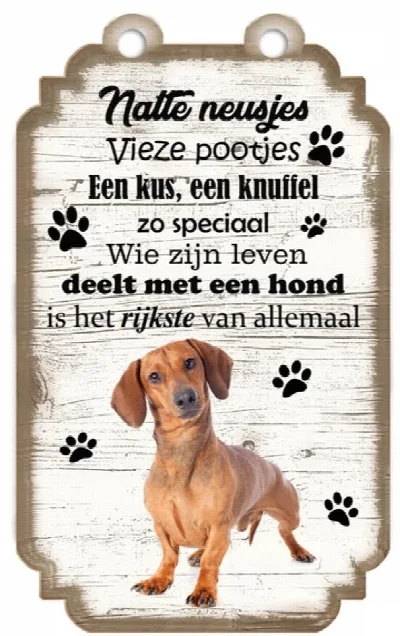 Spruchschild Dackel kurzhaarig