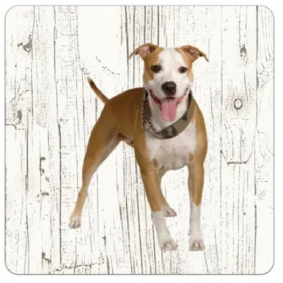 Holzuntersetzer American Stafford