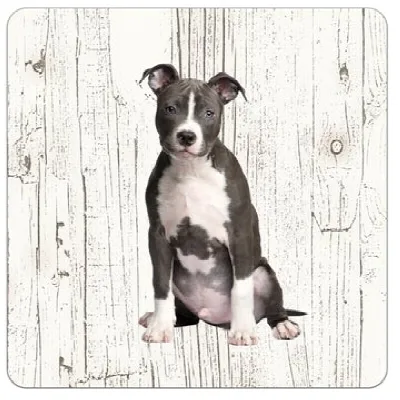 Holzuntersetzer American Staffordshire