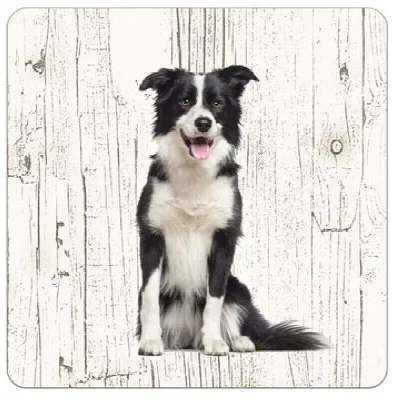 Holzuntersetzer Border Collie
