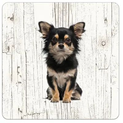 Holzuntersetzer Chihuahua