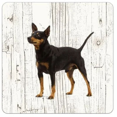 Holzuntersetzer Zwergpinscher