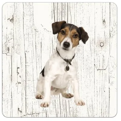 Holzuntersetzer Jack Russell