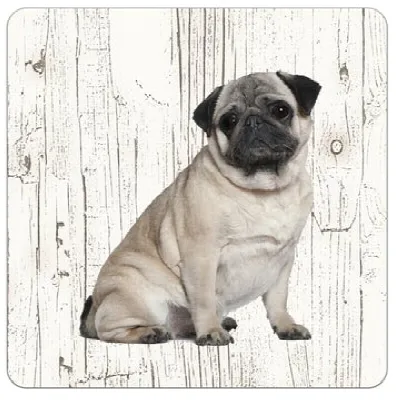 Holzuntersetzer Mops