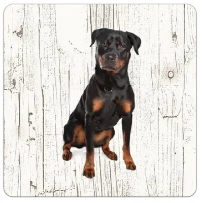 Holzuntersetzer Rottweiler