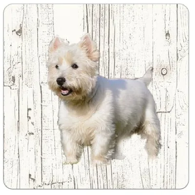 Holzuntersetzer West Highland White Terrier